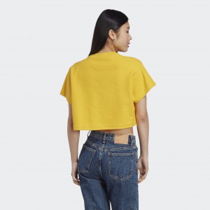 Adidas W LNG LW FT TEE BOGOLD 