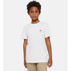 DICKIES T SHIRT MINI LOGO...