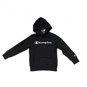 Champion Hooded Sweatshirt...