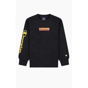 Champion Crewneck...