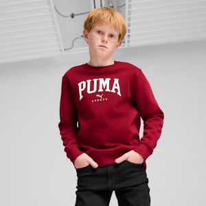 Puma FELPA GIROCOLLO .Red