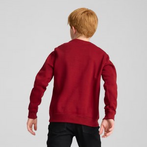 Puma FELPA GIROCOLLO .Red