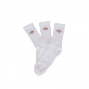 DICKIES CASLZE SPUGNA TIBIA...