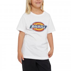 DICKIES T SHIRT BOX LOGO...