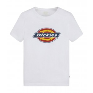 DICKIES T SHIRT BOX LOGO...