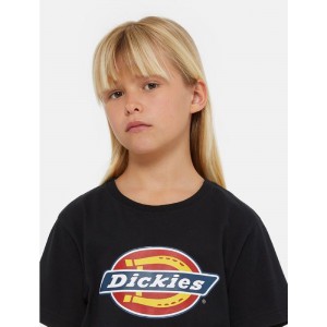 DICKIES T SHIRT BOX LOGO...