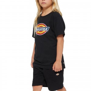 DICKIES T SHIRT BOX LOGO...