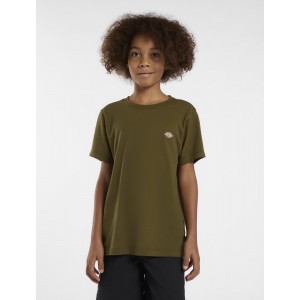 DICKIES T SHIRT MINI LOGO...