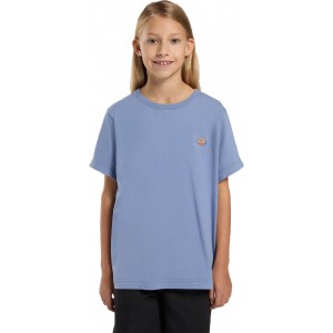 DICKIES T SHIRT MINI LOGO...