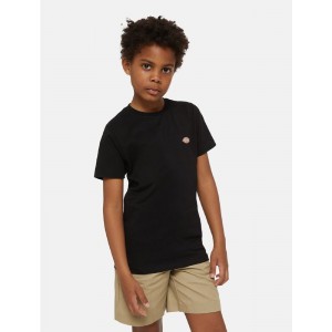 DICKIES T SHIRT MINI LOGO...