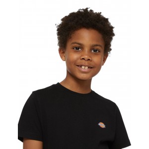 DICKIES T SHIRT MINI LOGO...