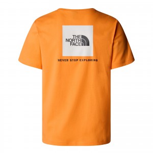 The North Face T SHIRT...