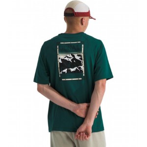 The North Face T SHIRT...