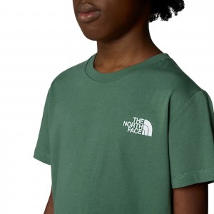 The North Face T SHIRT KIDS...