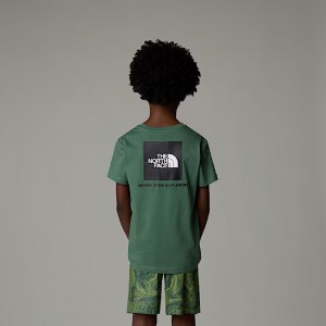 The North Face T SHIRT KIDS...
