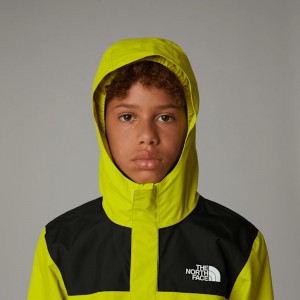 The North Face GIACCA A...