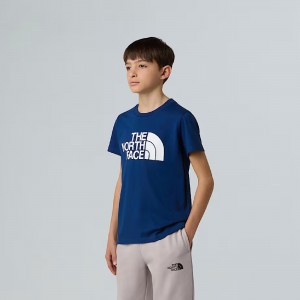 The North Face T SHIRT...