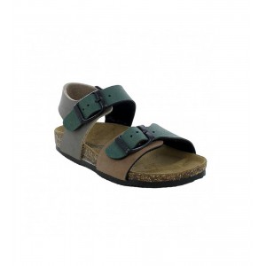 GOLDSTAR PINETA .Green