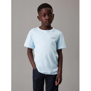 CALVINKLEIN INST LOGO .AZZURRO